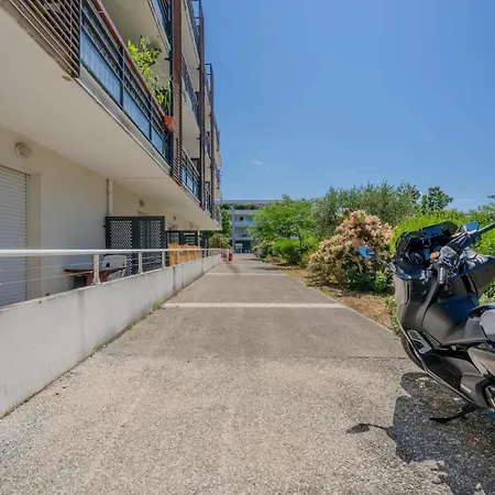With A View Of La Sole La Rochelle (Charente-Maritime)