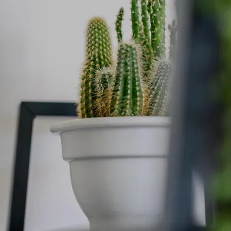 With A View Of La Sole Apartment La Rochelle (Charente-Maritime)